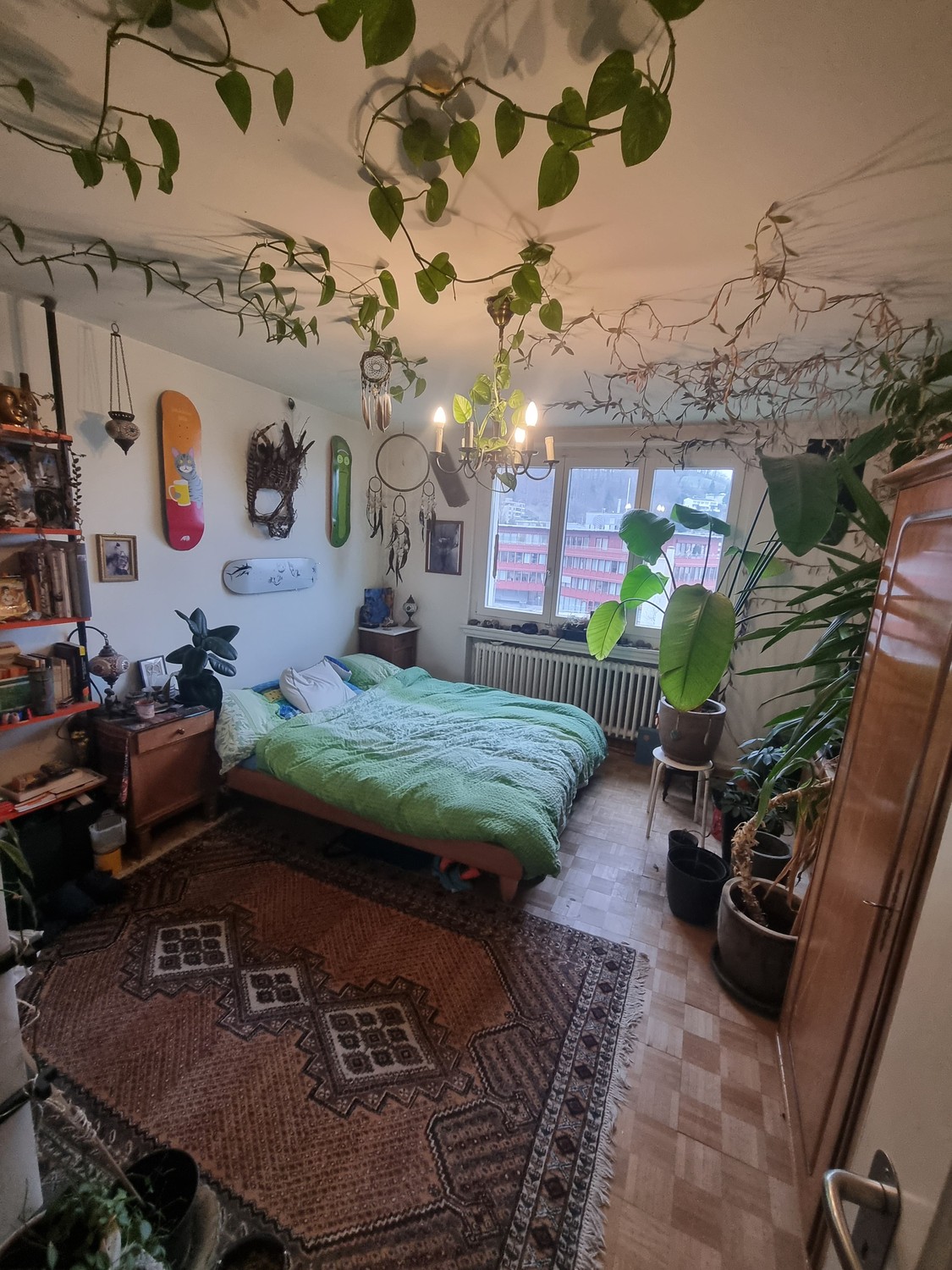 Room in a shared flat