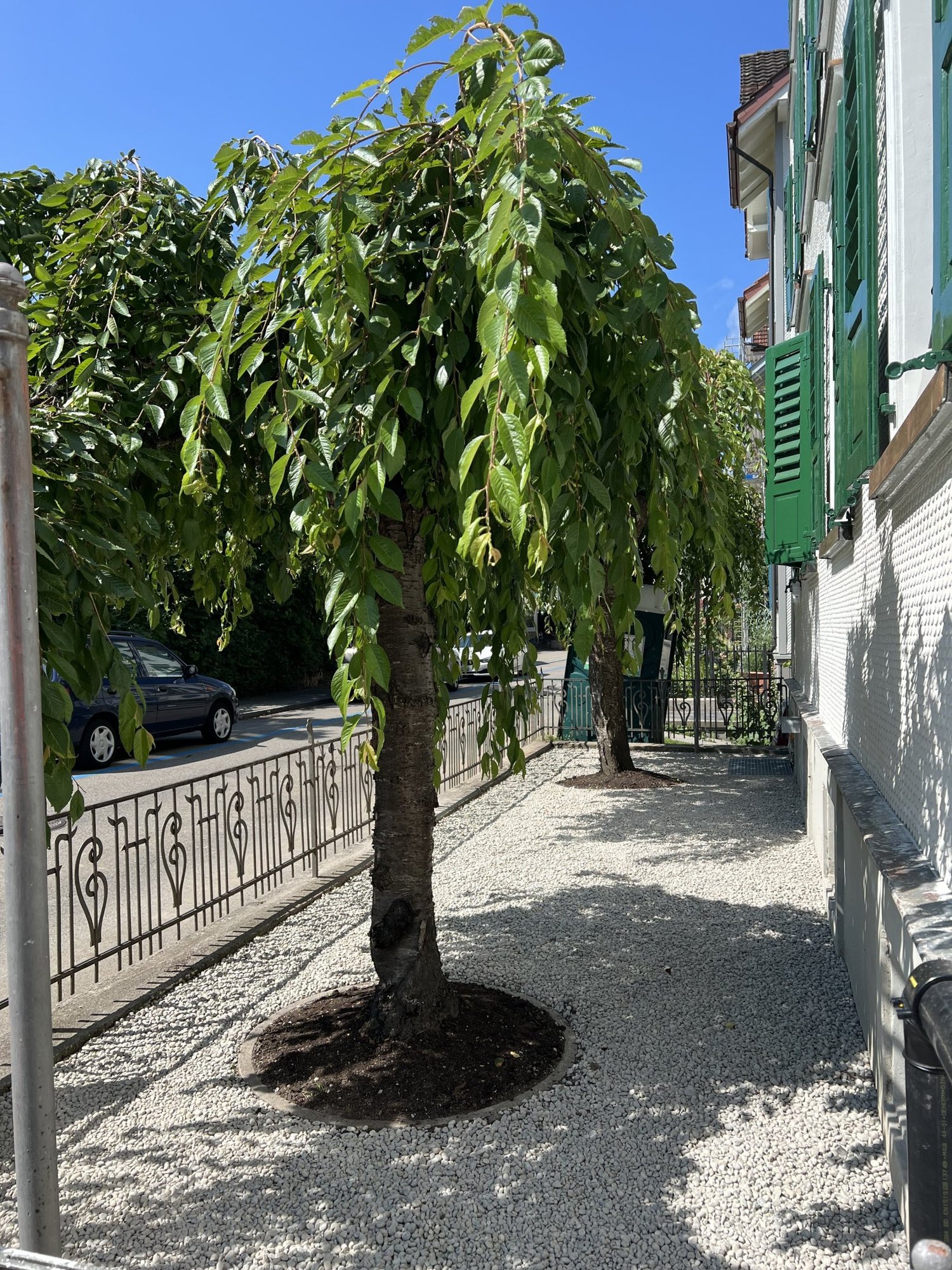 Appartement de 3 ½ pièces