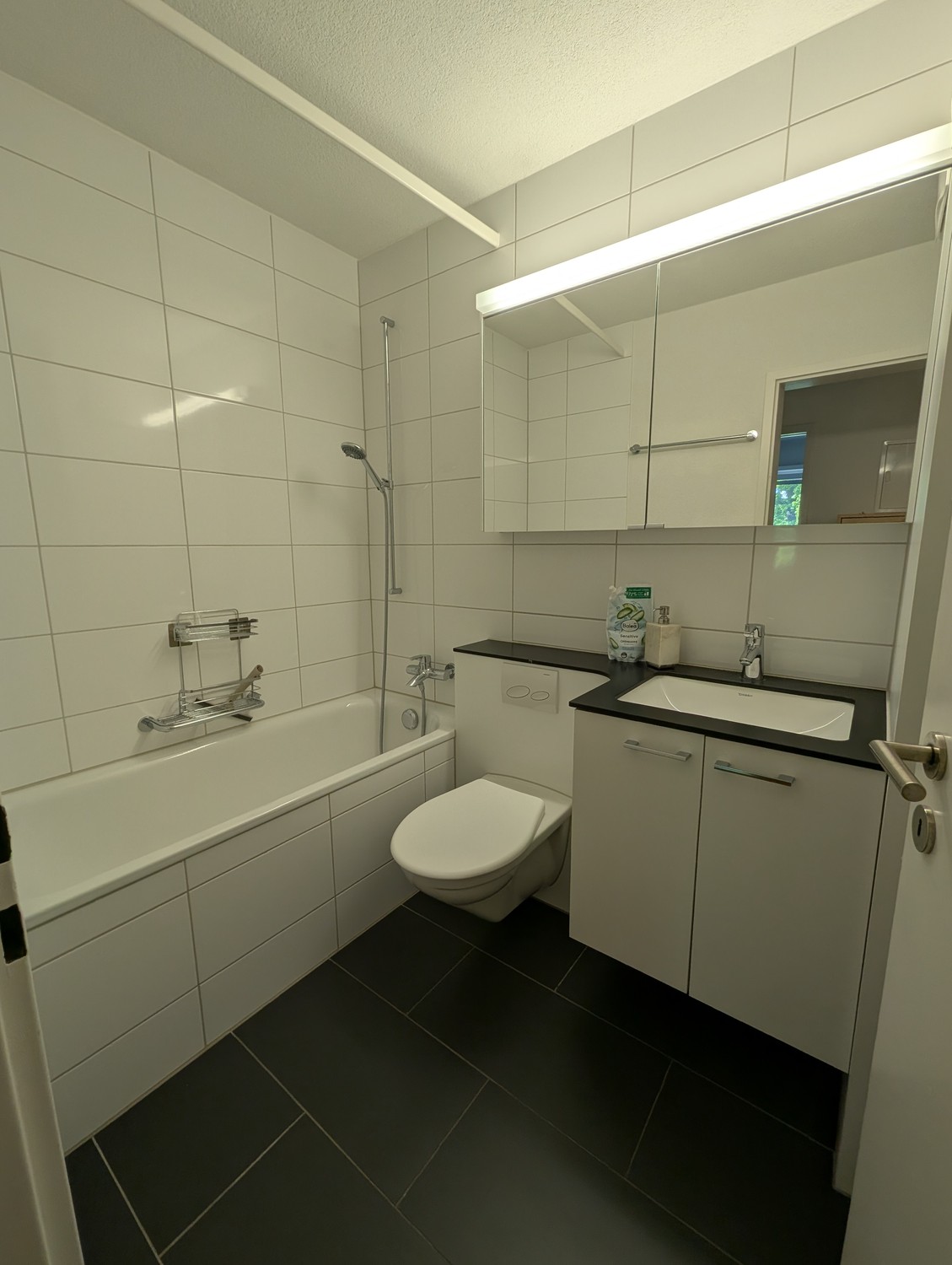 2 ½ rooms apartment
