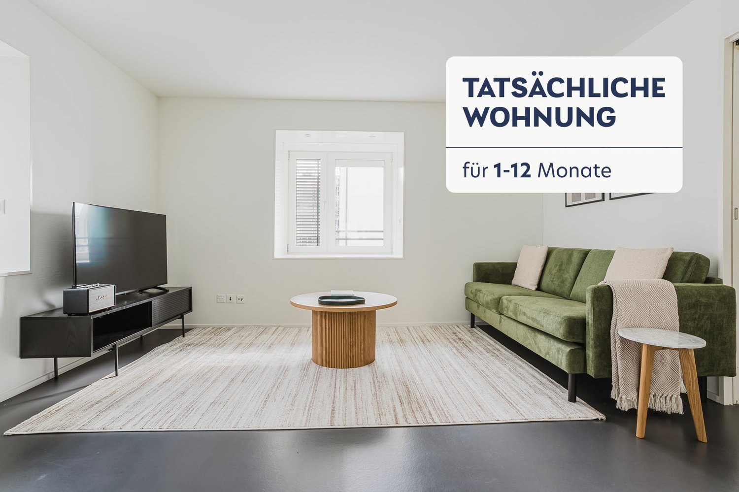 2 ½ rooms furnished flat
