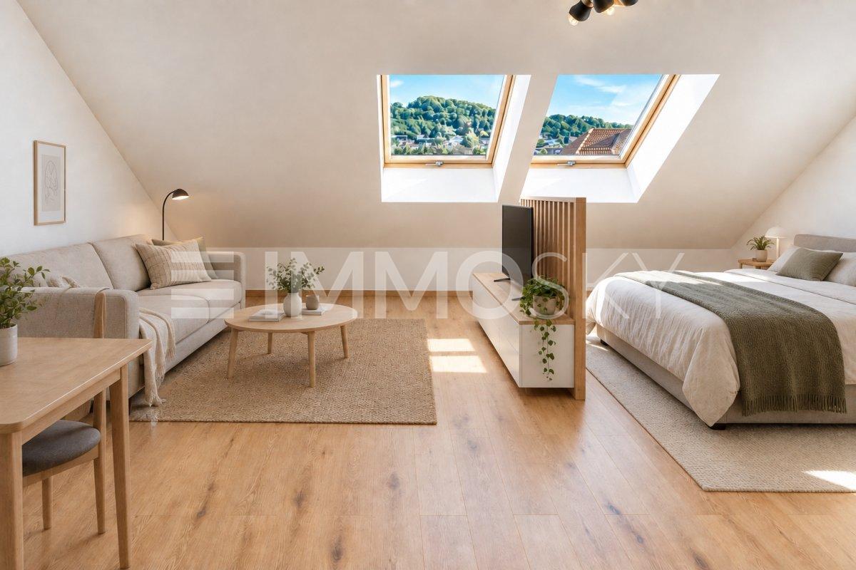 2 ½ room roof flat