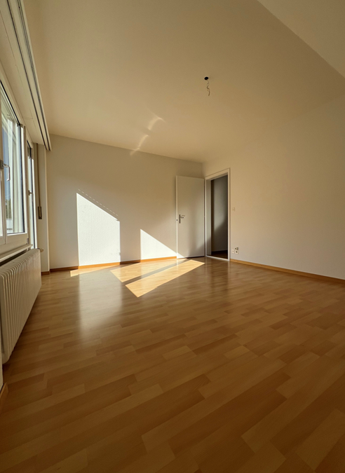 Appartamento di 4 ½ locali