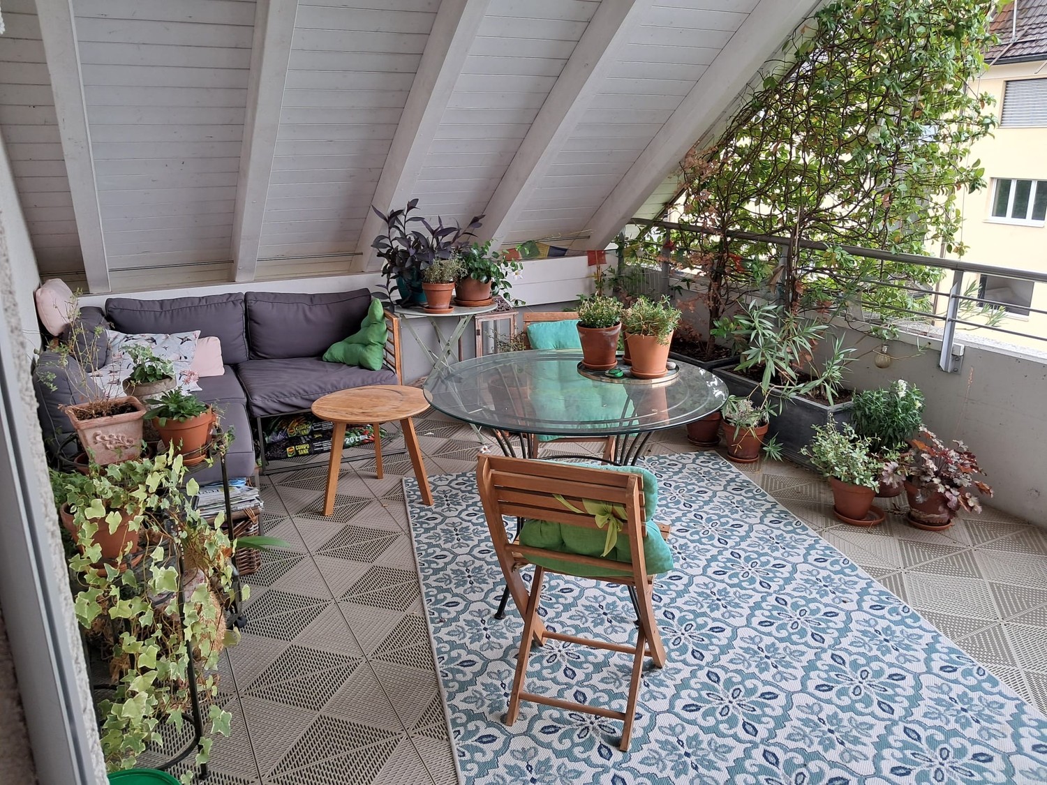 Room in a shared flat