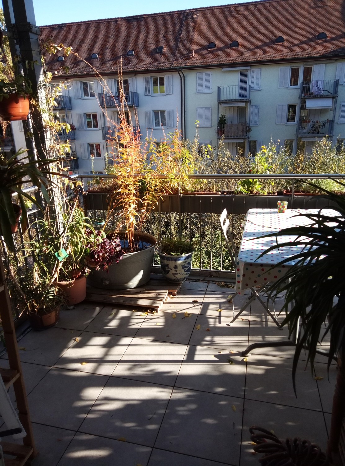Room in a shared flat, photo 2 of 8