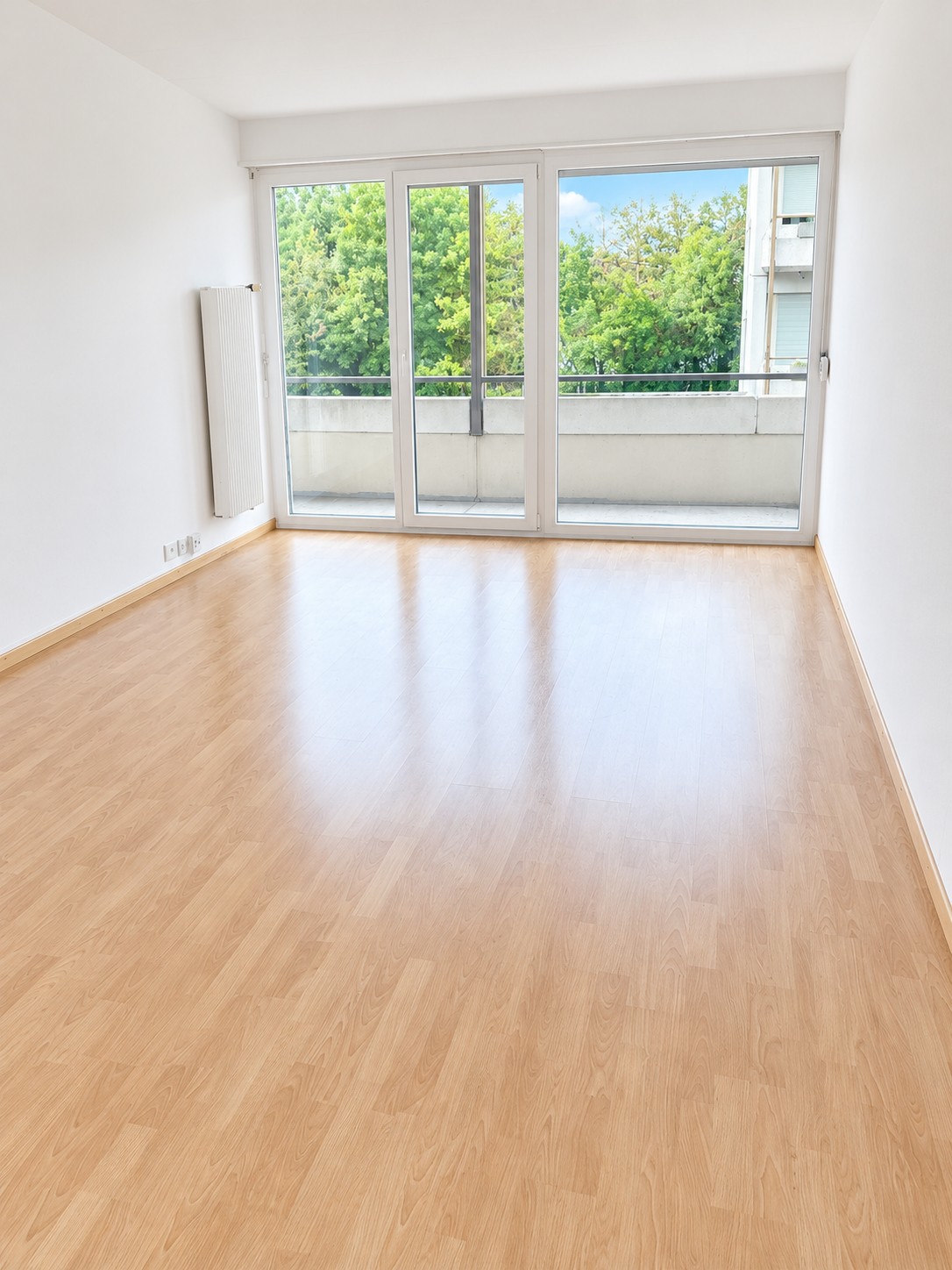 2 ½ Zimmer Wohnung