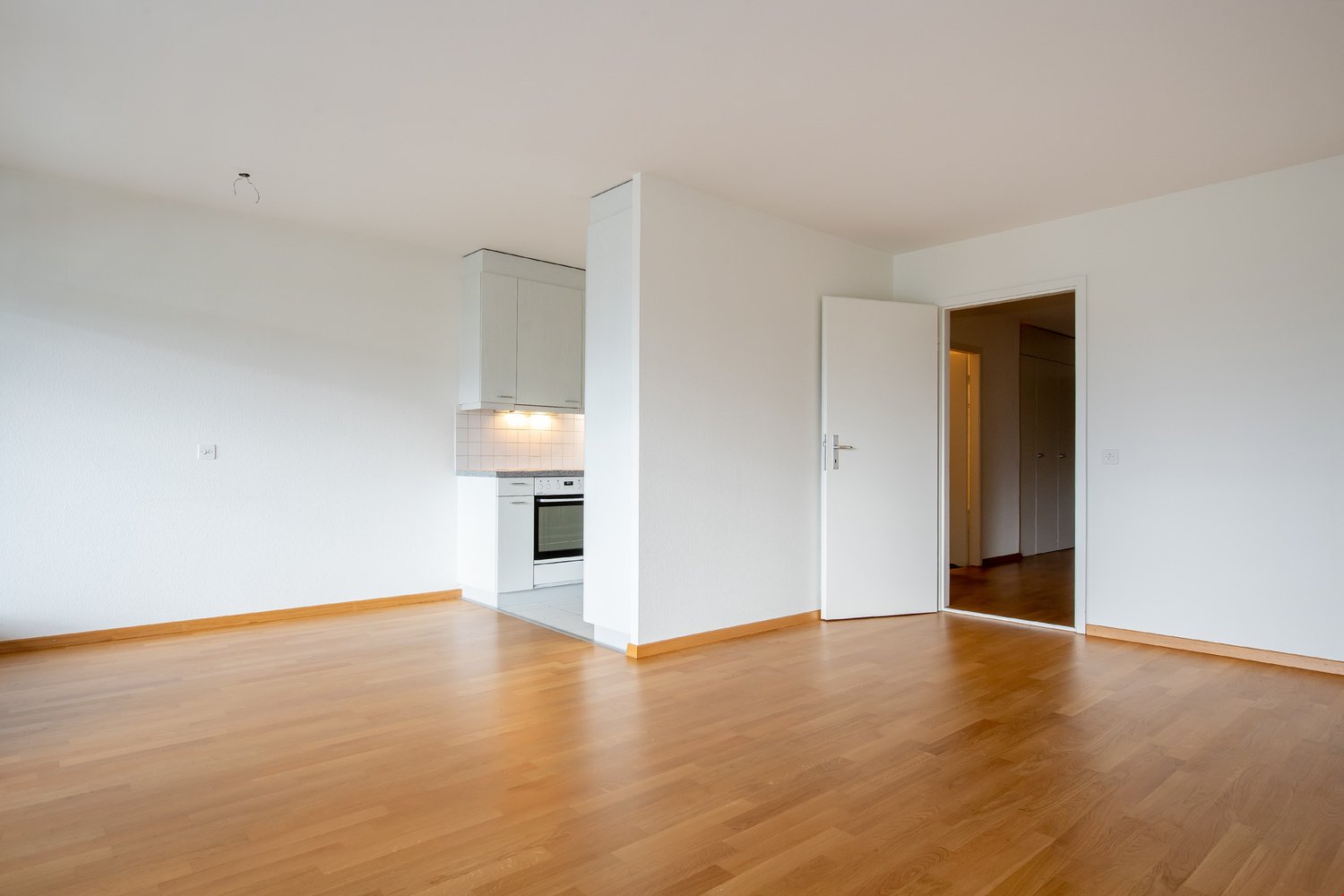 3 ½ pièces appartement