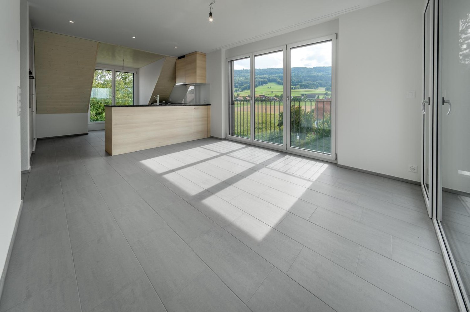 Appartement de 3 ½ pièces
