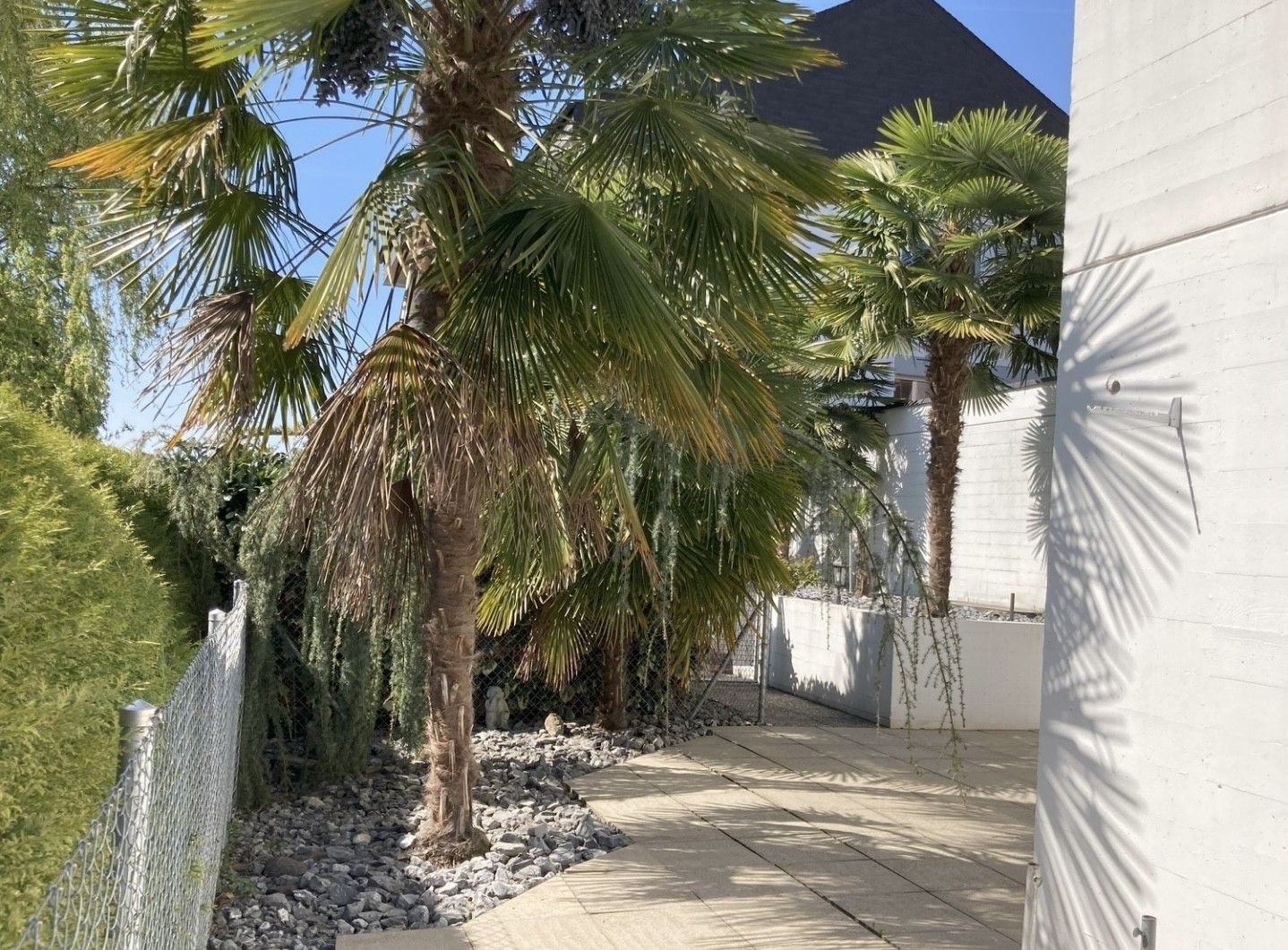 Appartamento di 3 ½ locali, foto 3 di 10