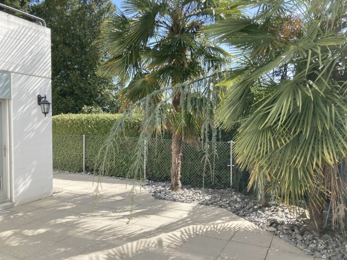 Appartamento di 3 ½ locali, foto 2 di 10