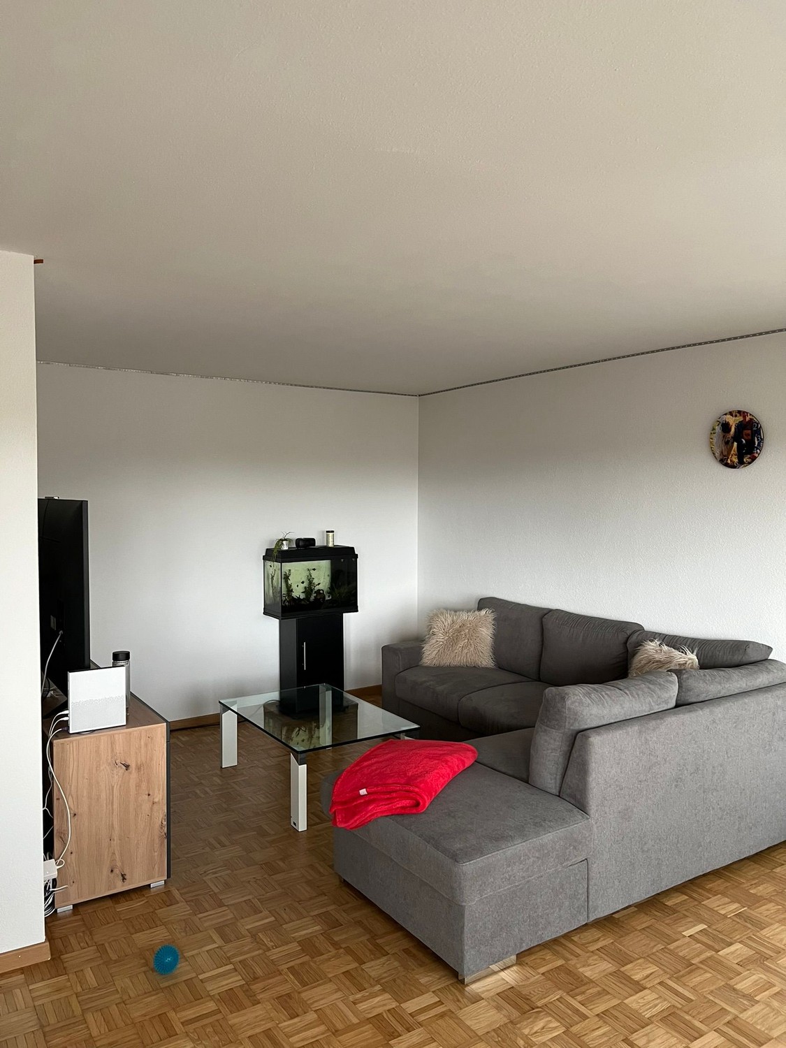 Room in a shared flat
