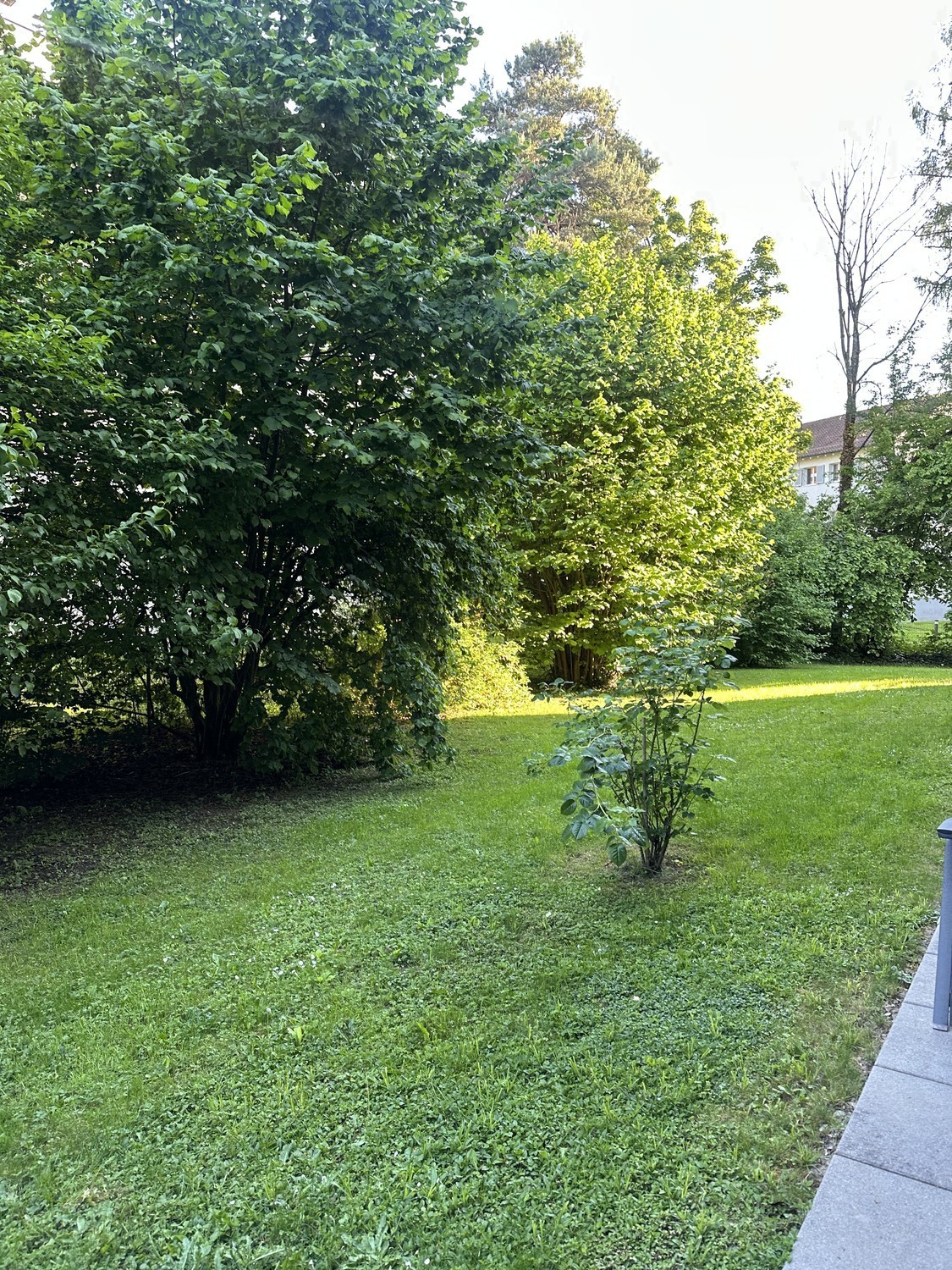 2 ½ rooms apartment, photo 8 of 9