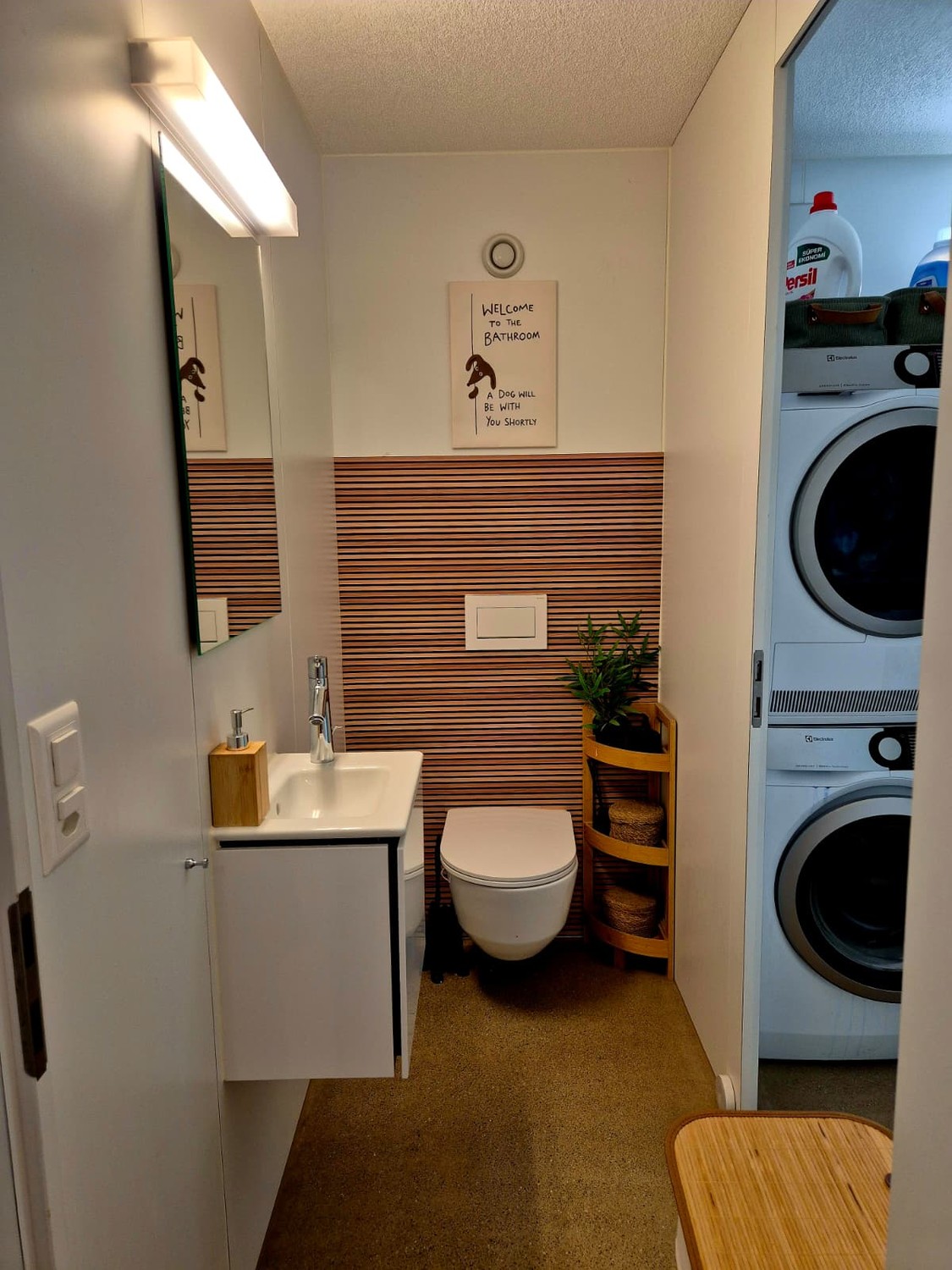 Room in a shared flat