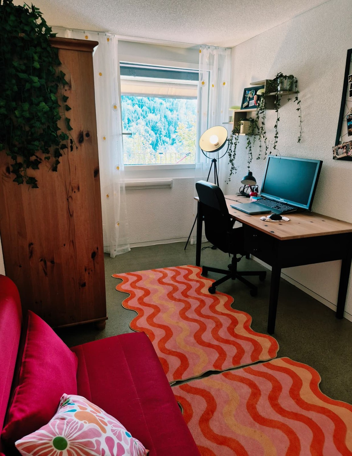 Room in a shared flat