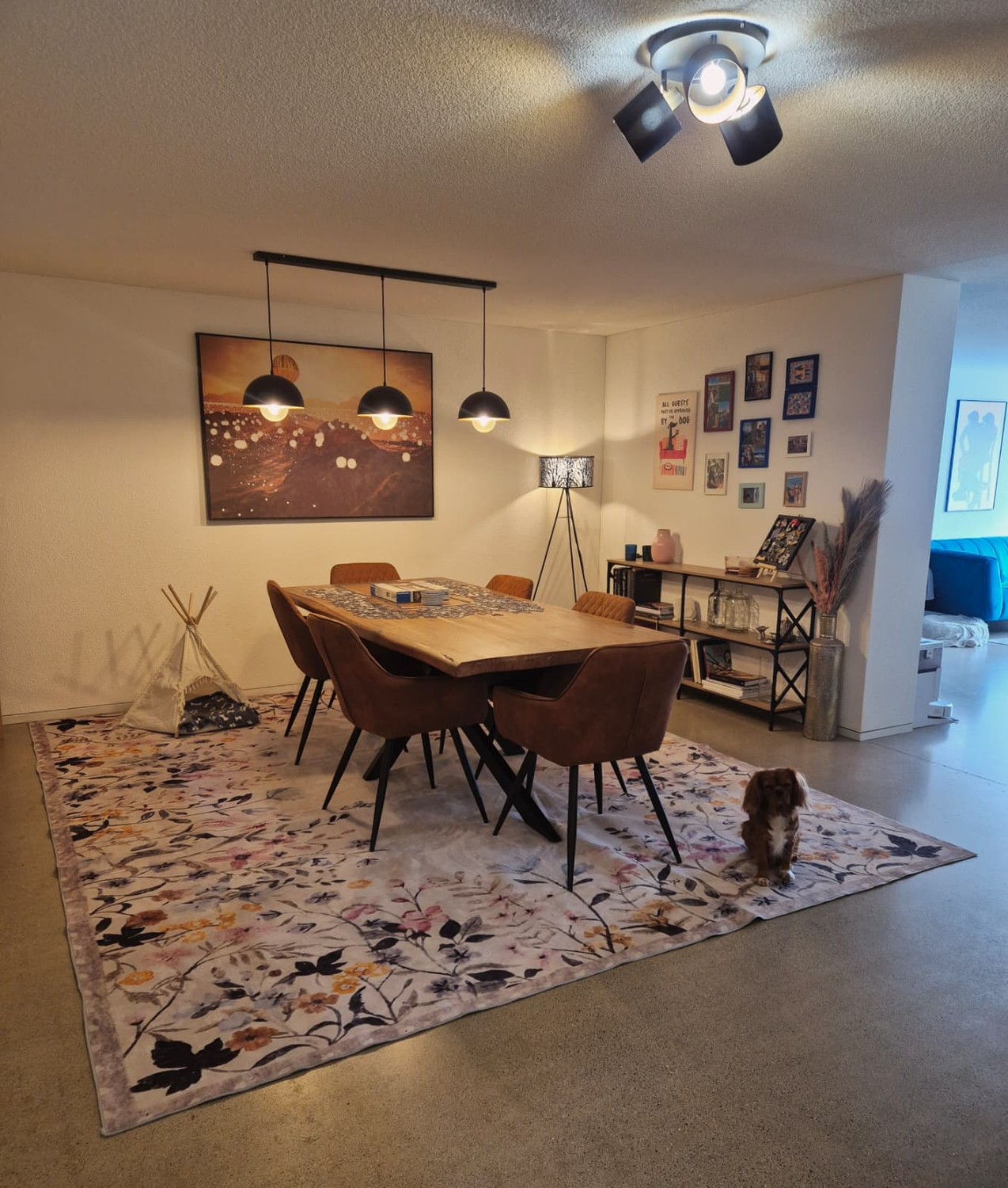 Room in a shared flat