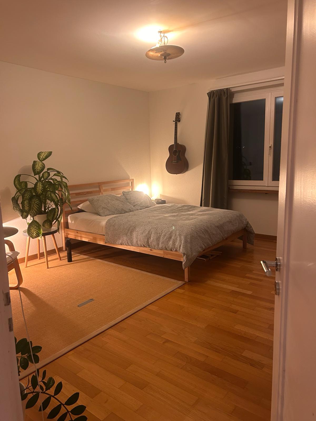 Room in a shared flat