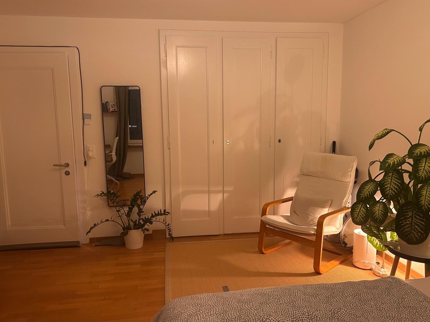 Room in a shared flat