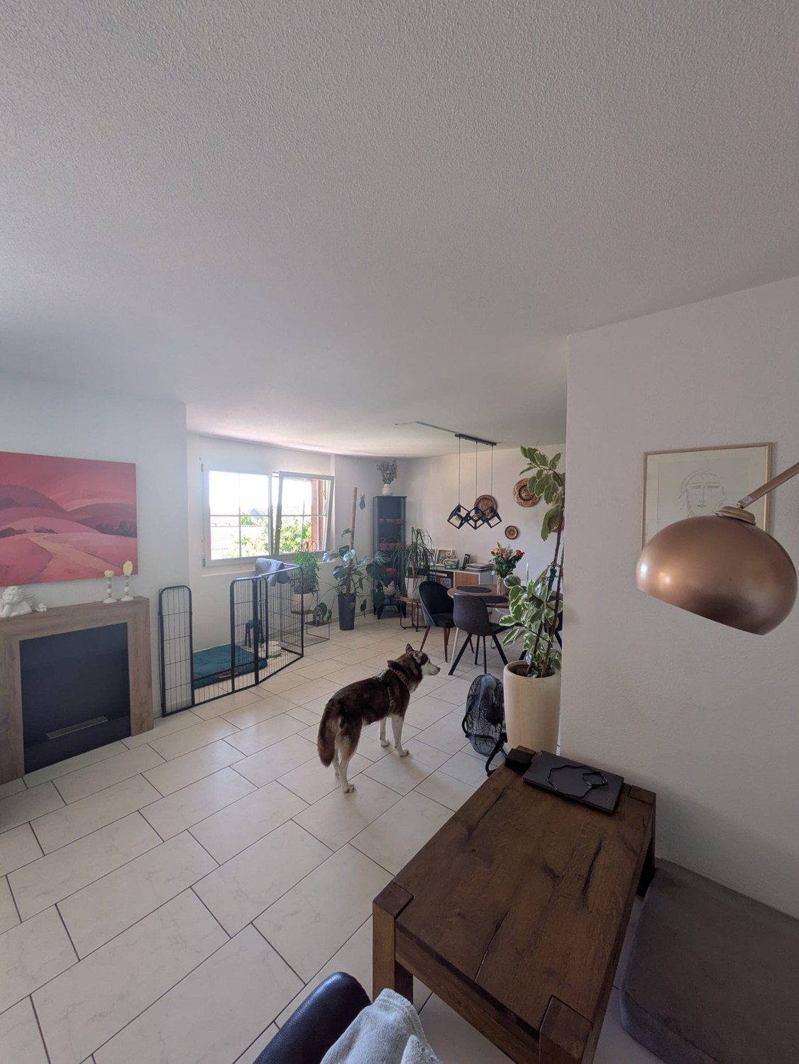4 ½ rooms apartment, photo 2 of 10