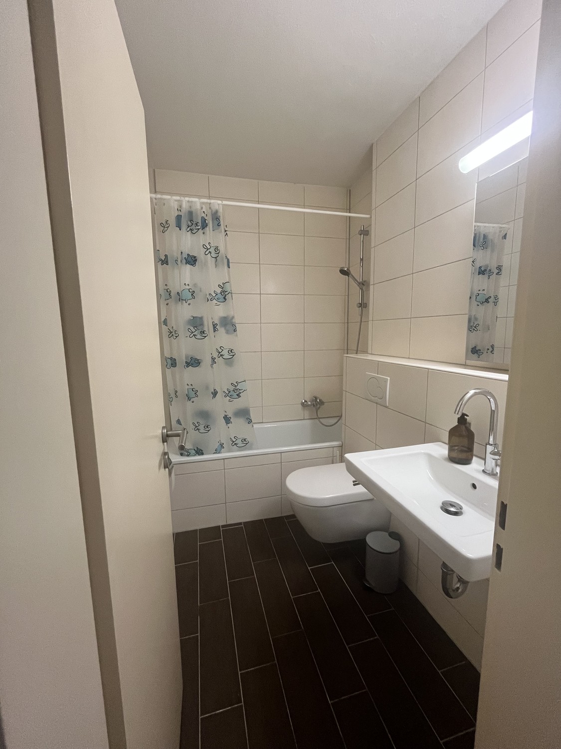 2 ½ rooms apartment, photo 6 of 9