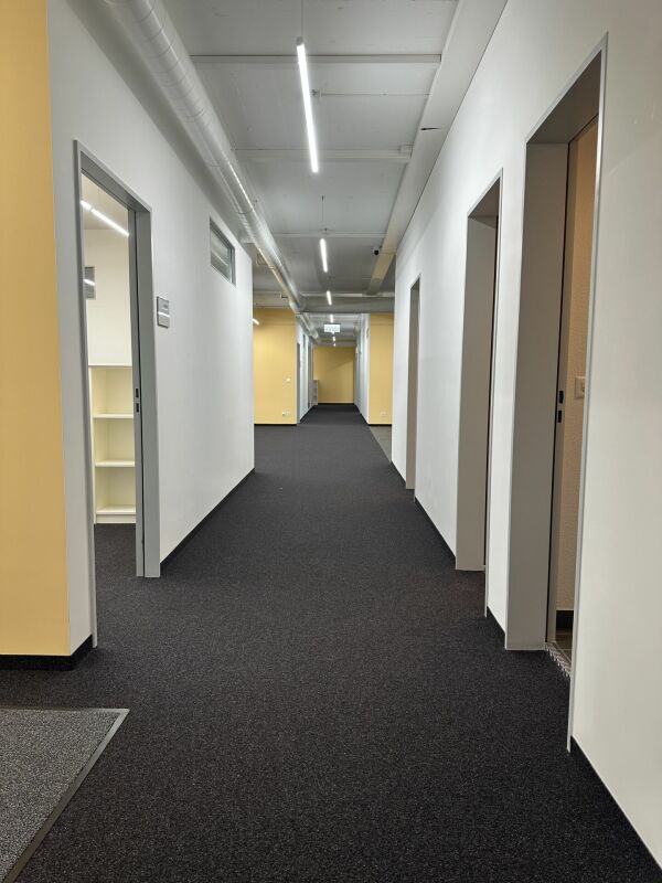 670m² commercial

Office/commercial spaces near Bahnhof Altstetten 

In a central location, we are renting out finished office/commercial areas of approx. 682 m2 (room partitioning possible) immediately or by arrangement. 

Die Hohlstrasse 534/536 is within immediate walking distance to Bahnhof Alts, photo 4 of 10