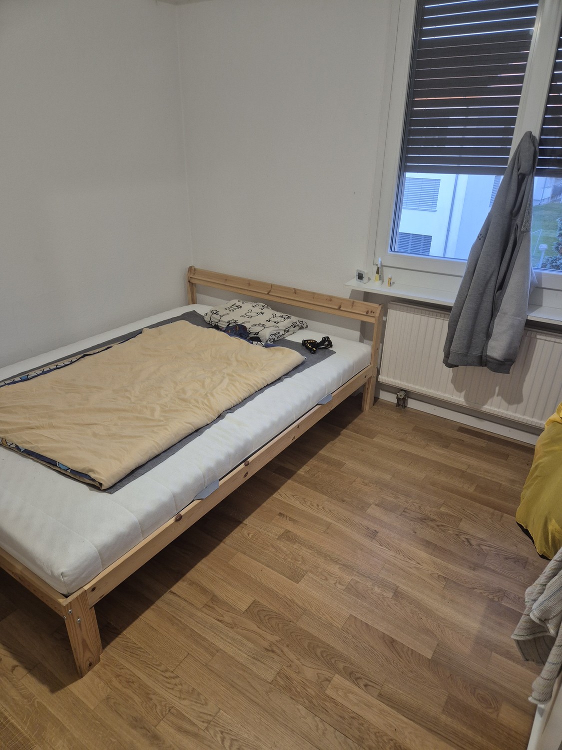 Room in a shared flat