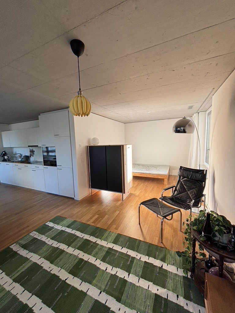 1 room apartment, photo 5 of 9