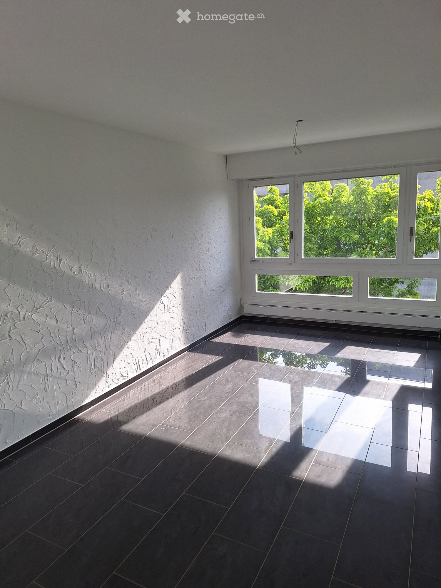 5 ½ rooms apartment, photo 5 of 5