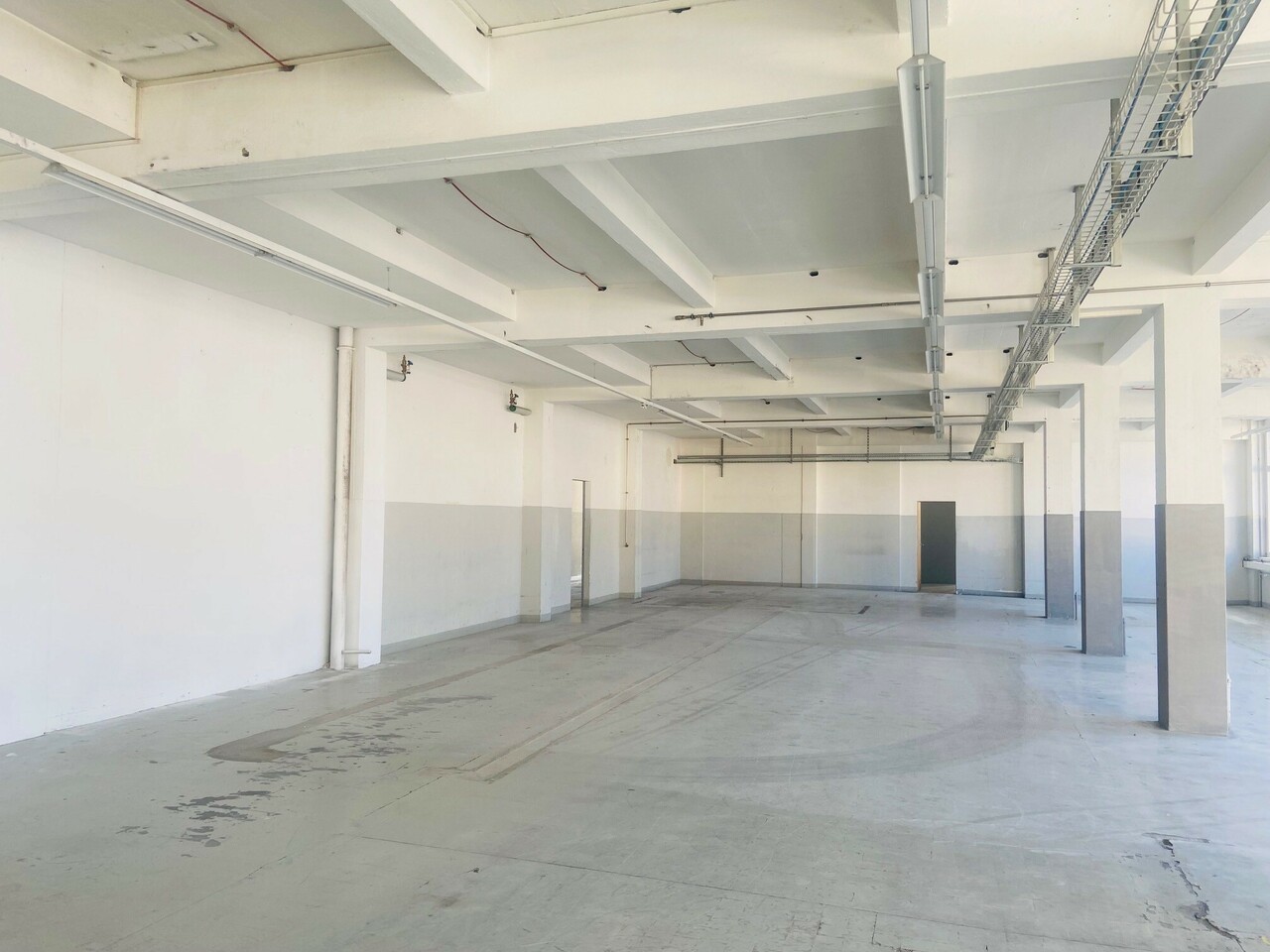 3596m² commercial, photo 6 of 8