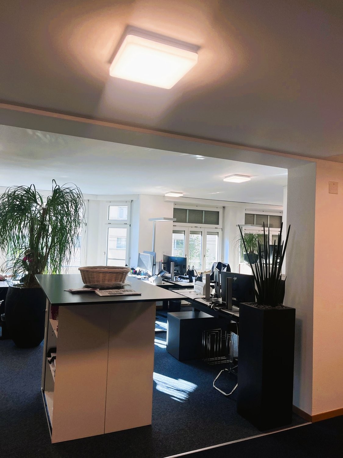236m² office, photo 4 of 8