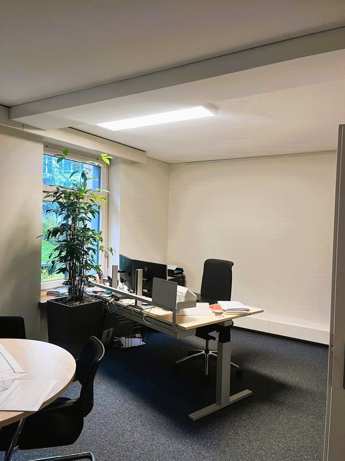 236m² office, photo 5 of 8