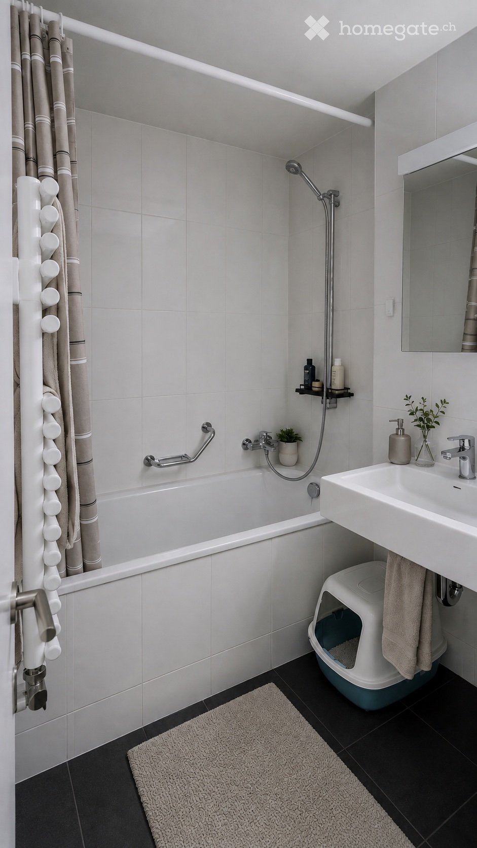 2 ½ Zimmer Wohnung