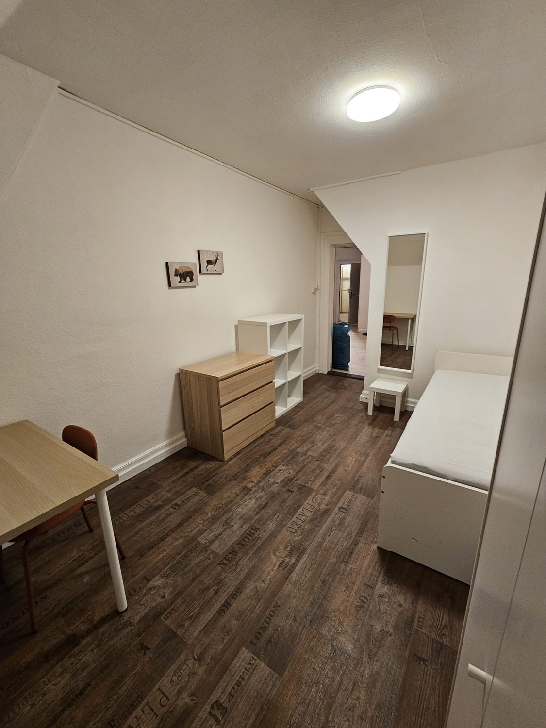 Room in a shared flat