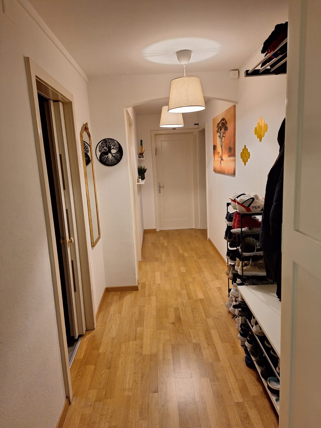 Room in a shared flat