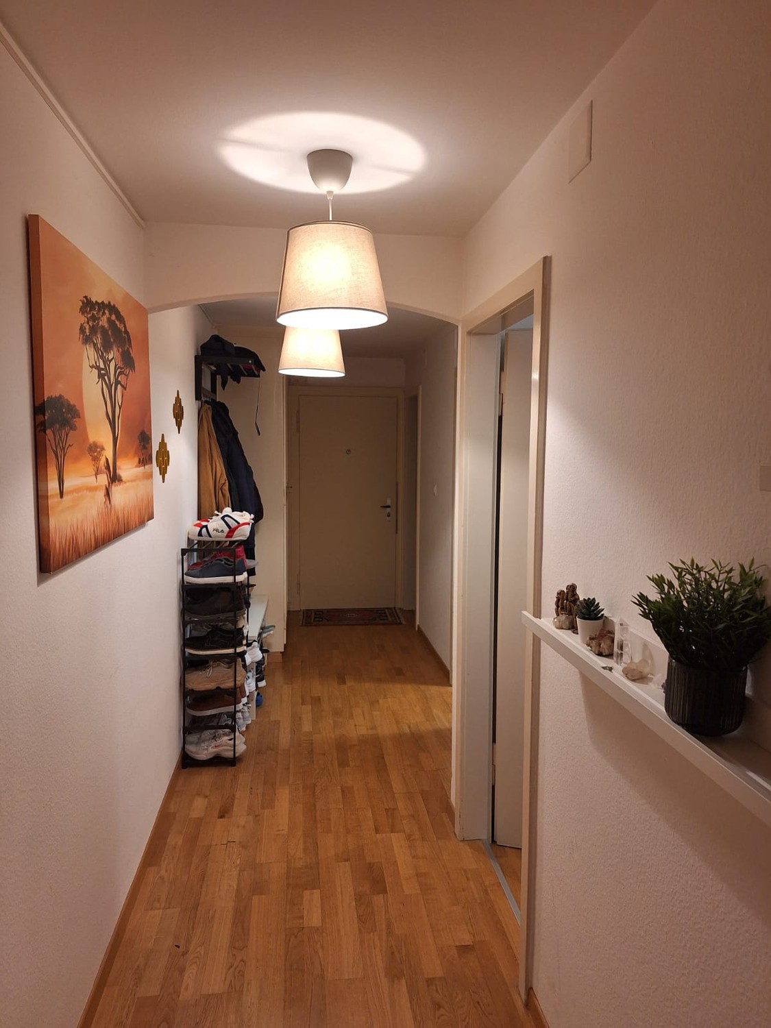 Room in a shared flat