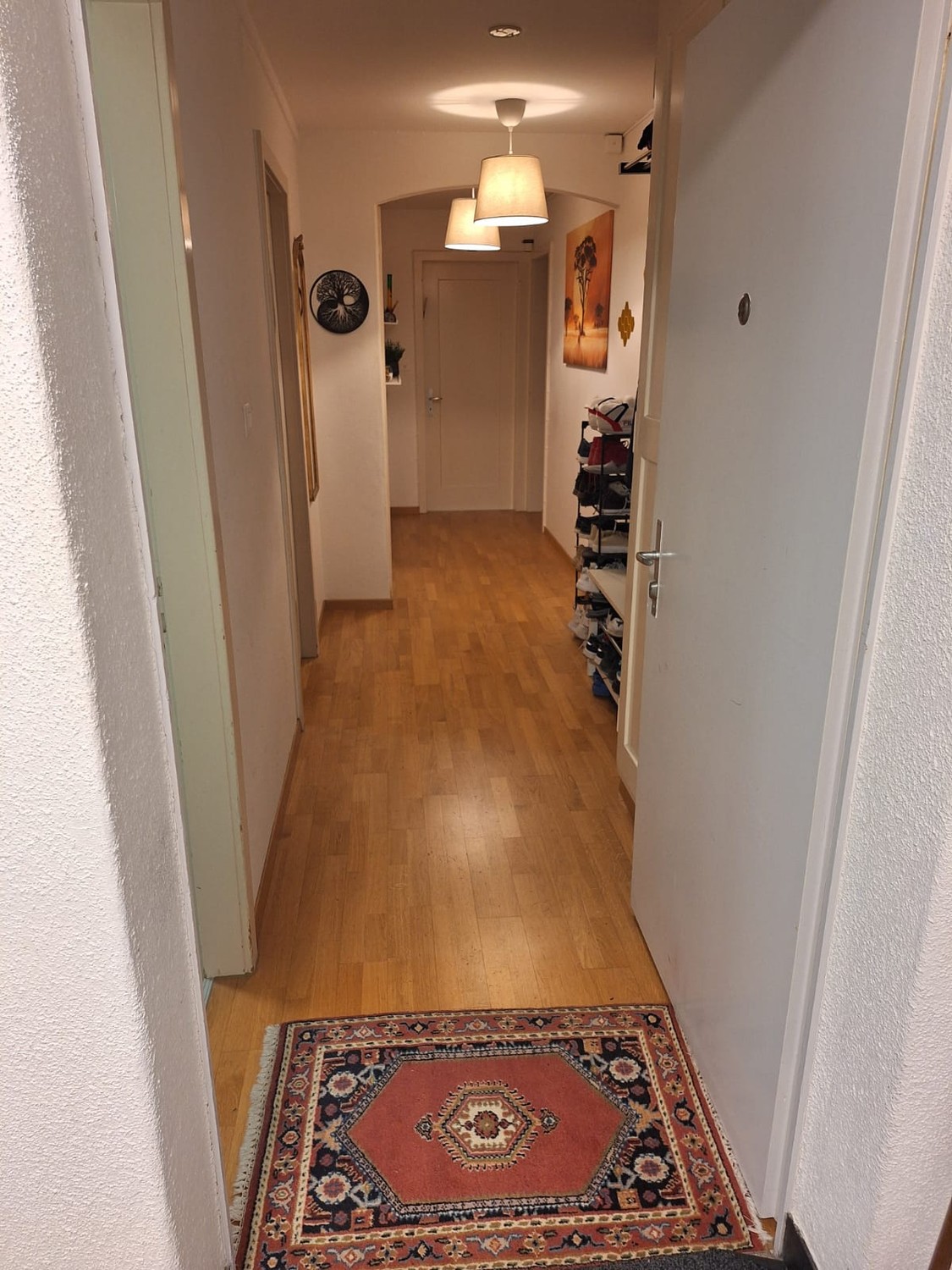 Room in a shared flat