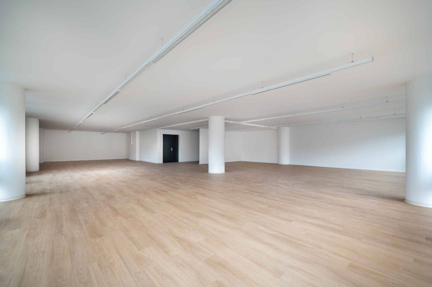 221m² office, photo 5 of 7