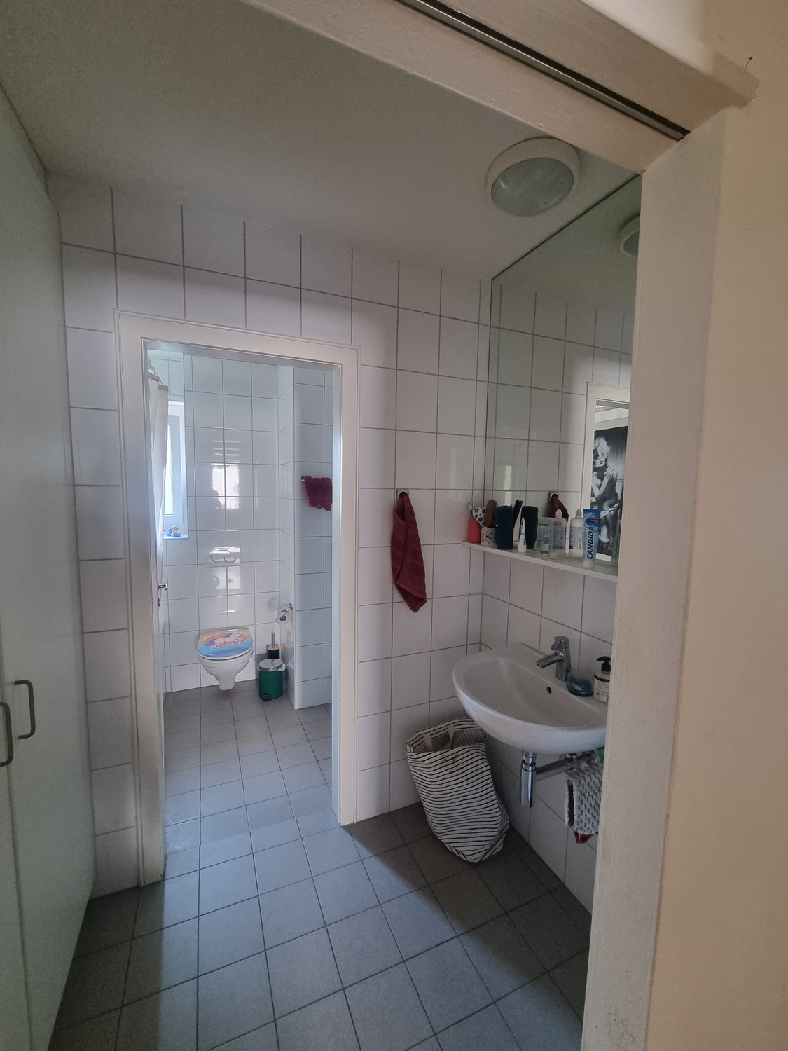 Room in a shared flat