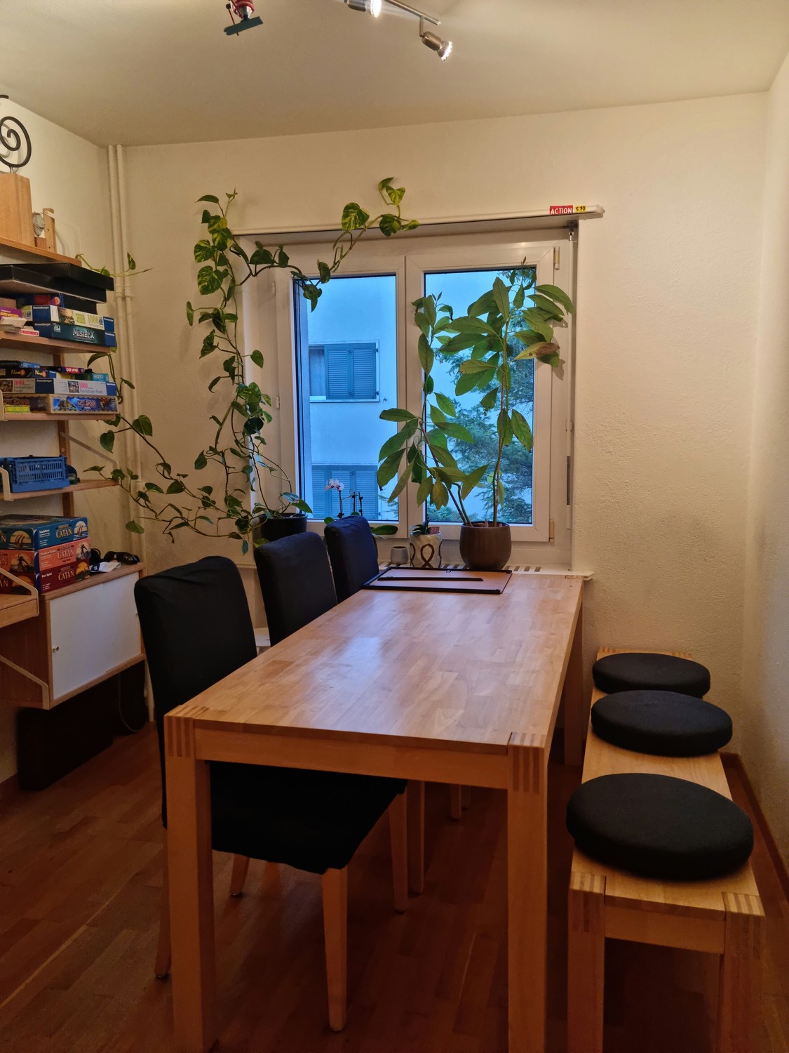 Room in a shared flat