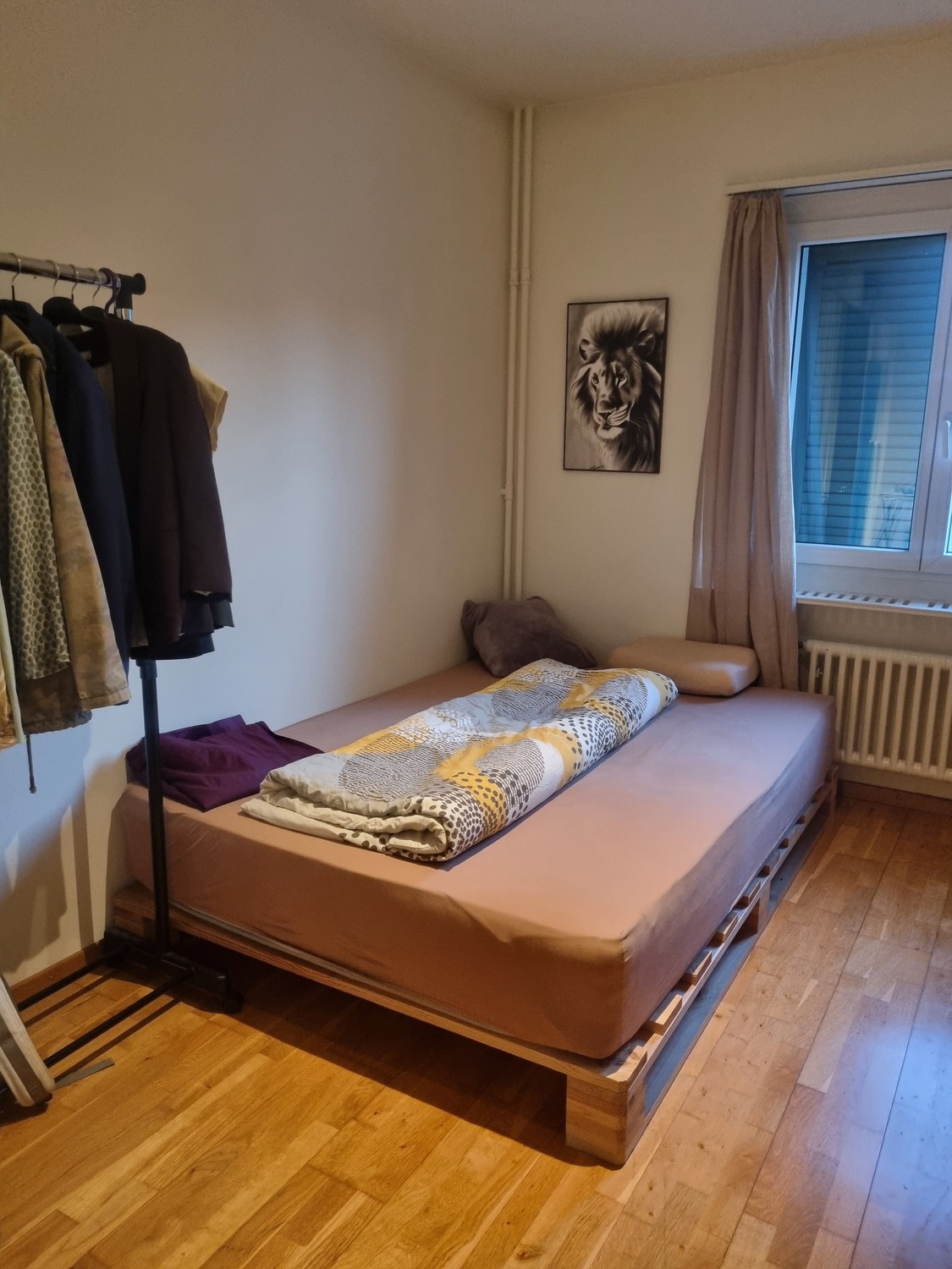 Room in a shared flat