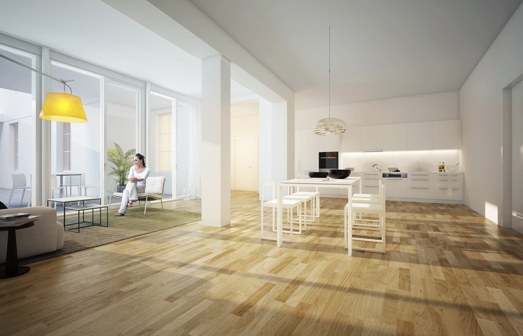 Appartement de 1 ½ pièces