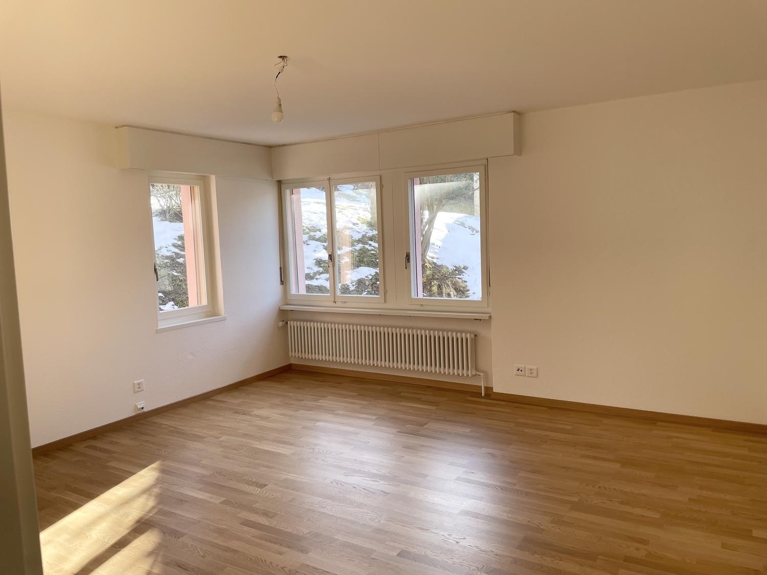 Appartement de 1 ½ pièce