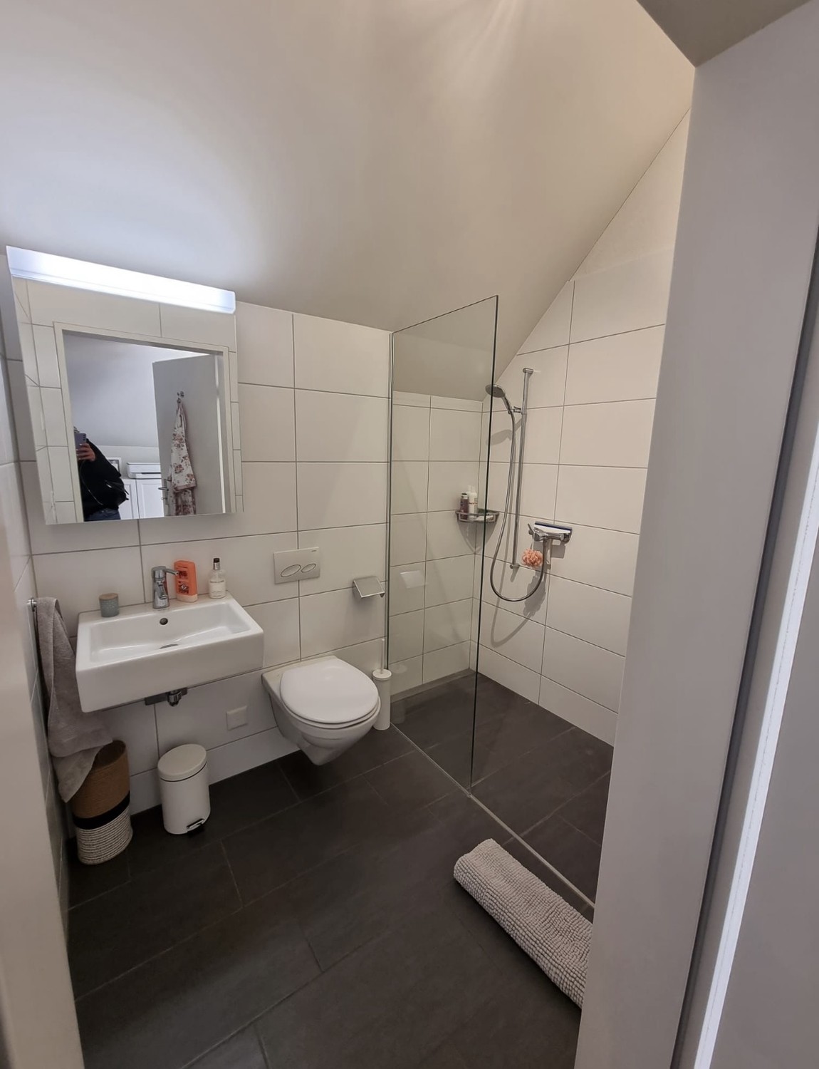 Room in a shared flat