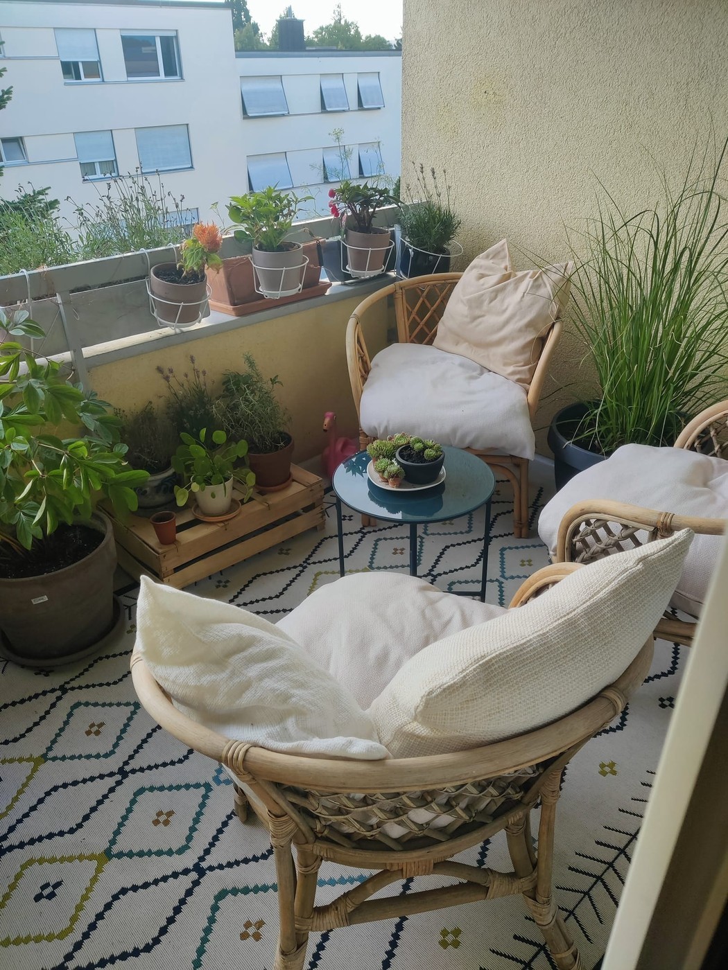Room in a shared flat