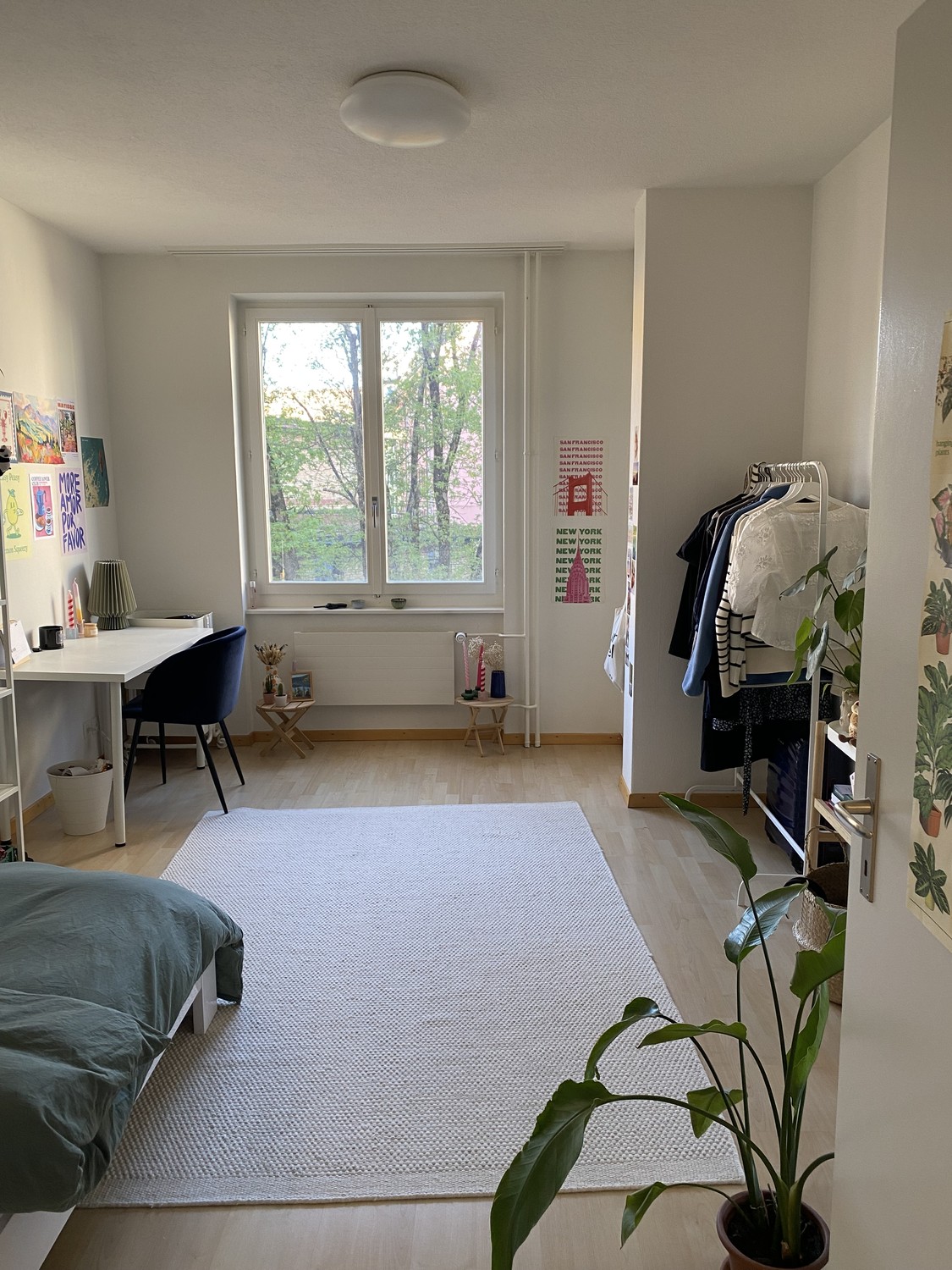 Room in a shared flat