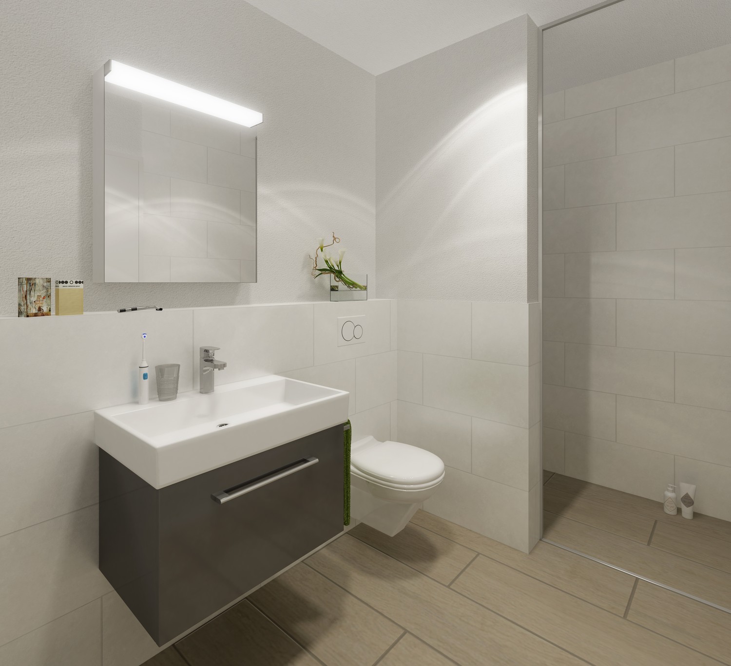 2 ½ rooms apartment, photo 2 of 4