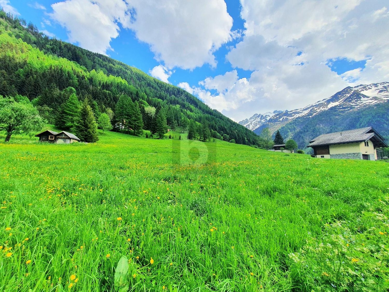 763m² building land, photo 1 of 3