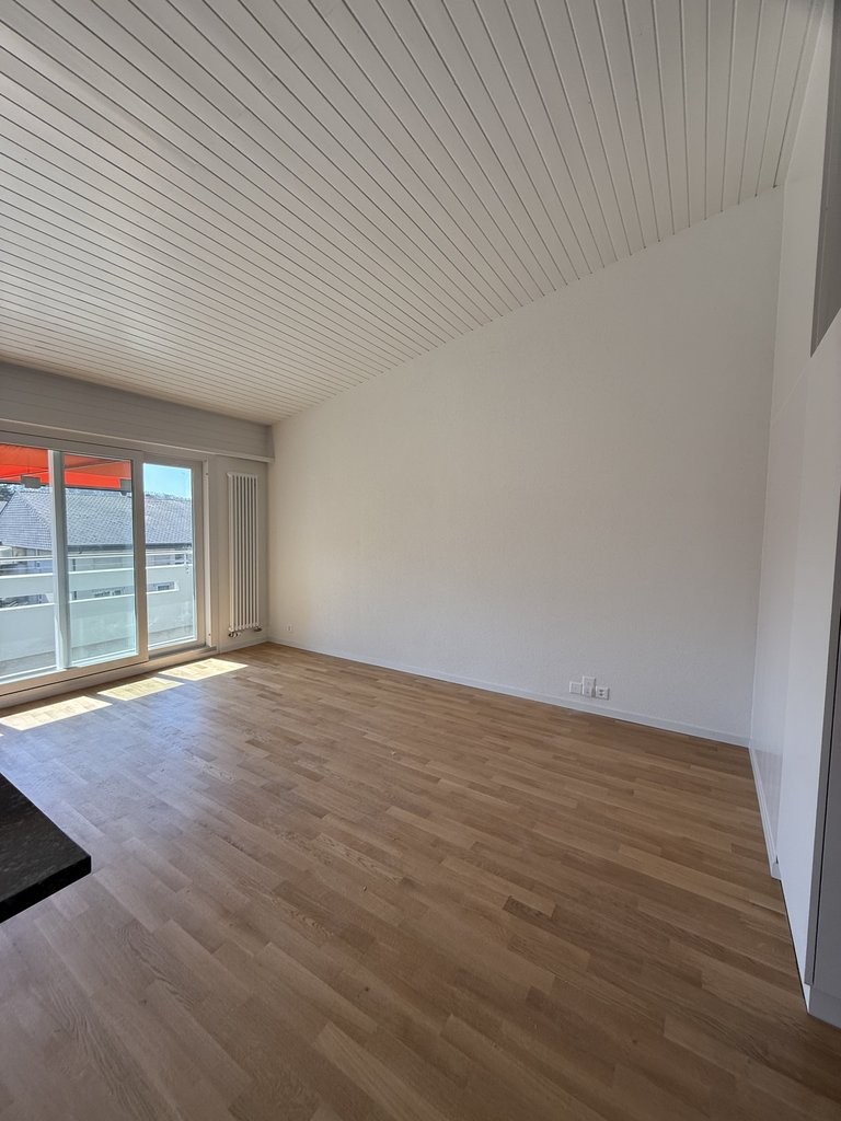 3 ½ pièces appartement
