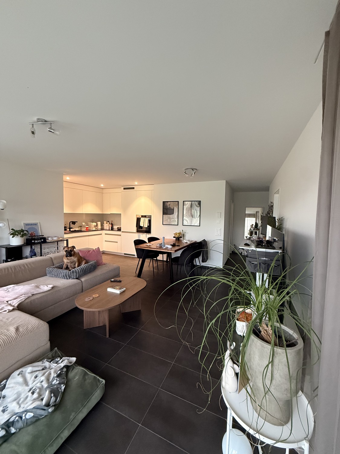 Appartement de 3 ½ pièces
