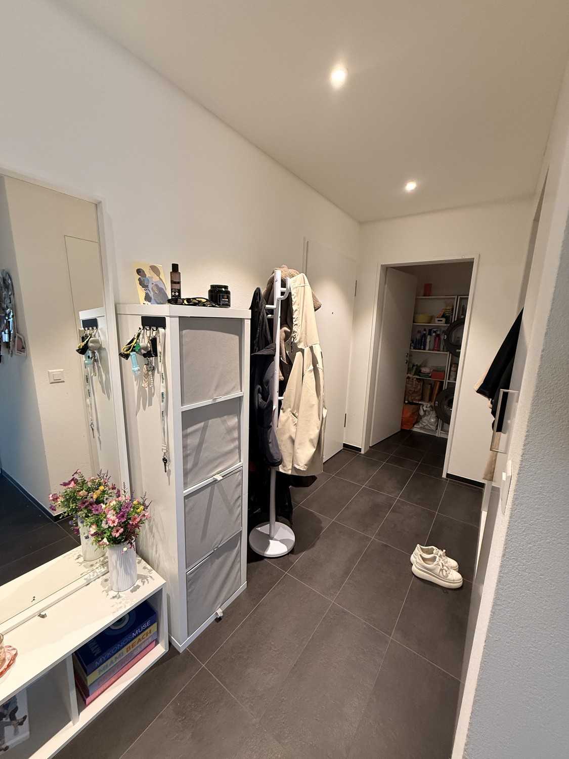Appartement de 3 ½ pièces