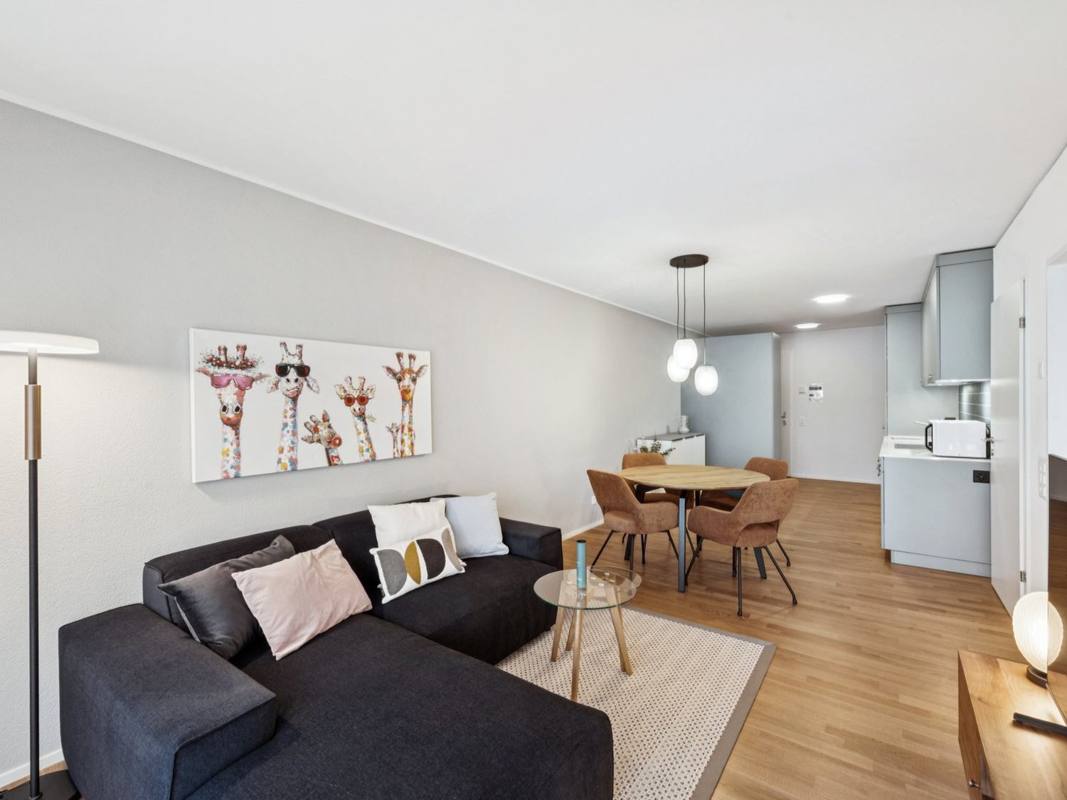2 ½ rooms apartment