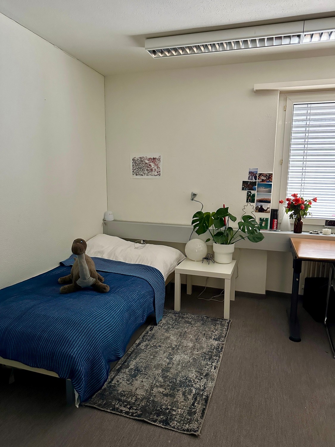 Room in a shared flat